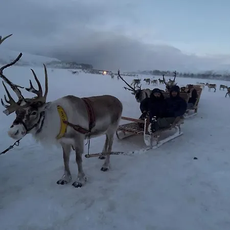 & Cozy Private In The Heart Of Quarto em Acomodações Particulares