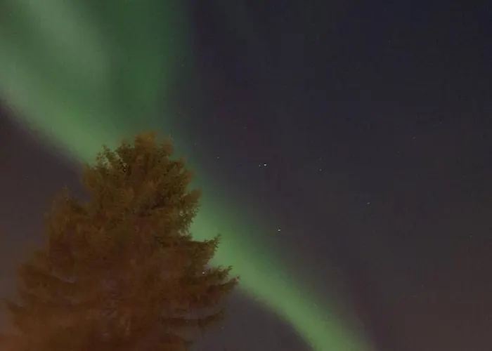 & Cozy Private In The Heart Of Quarto em Acomodações Particulares Tromsø